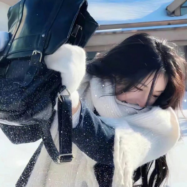 二凤